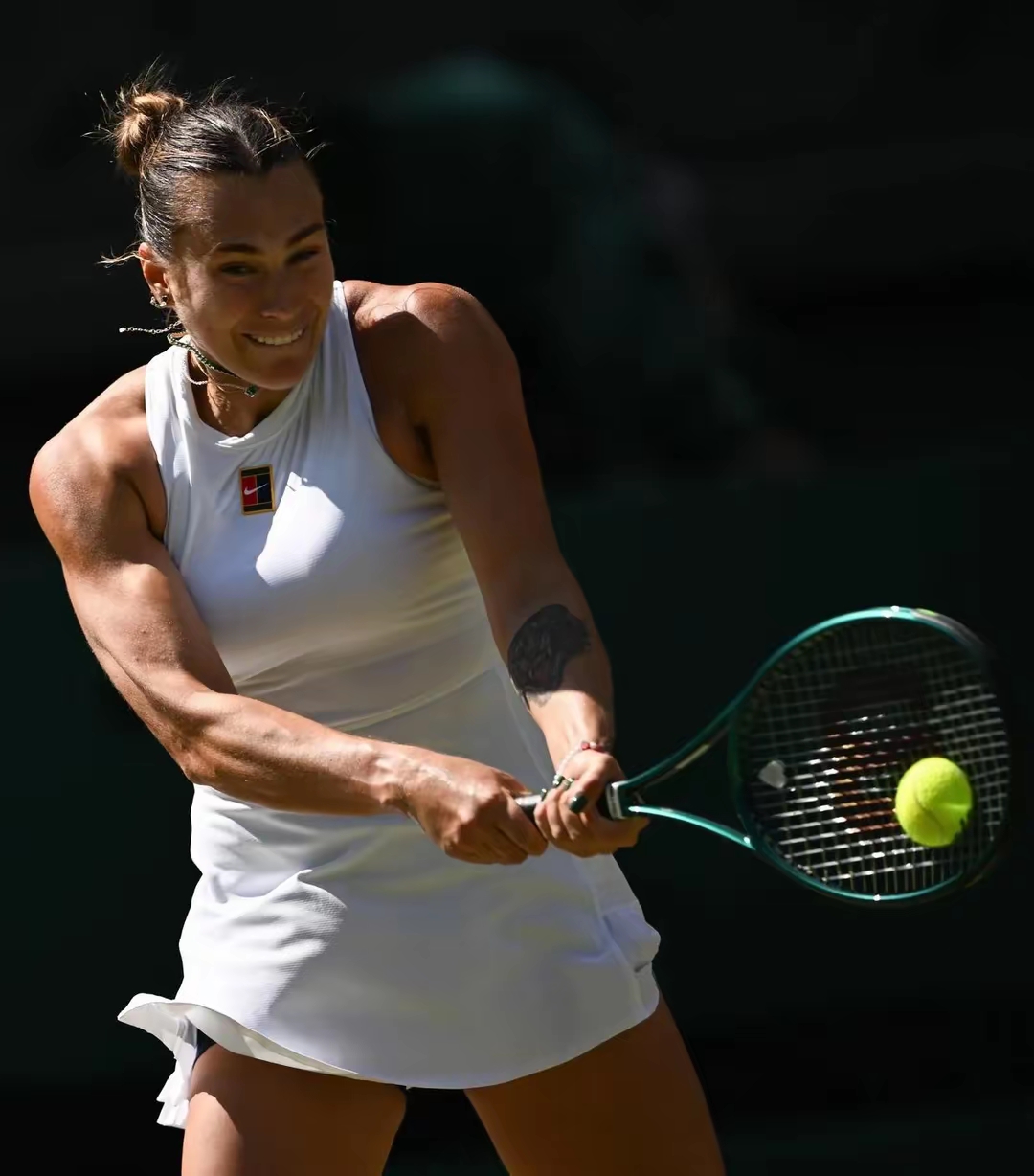 戴维斯杯绝杀温网，蒂姆惊艳四座