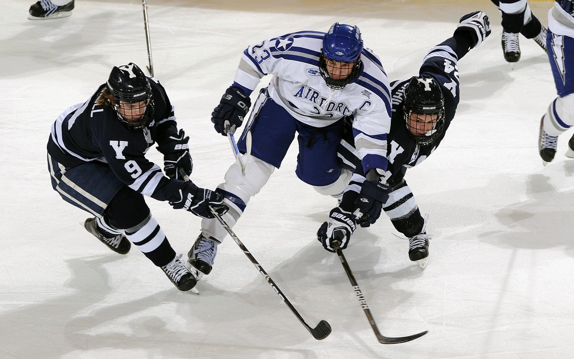 骑士收割黄蜂，福克斯成为关键先生的进化论